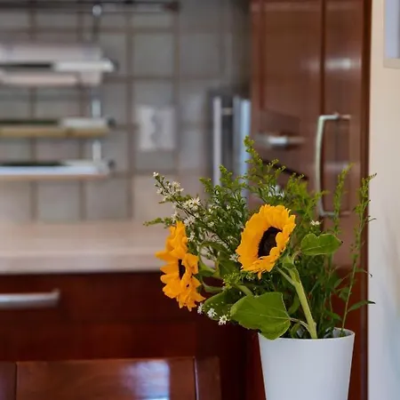 Apartament Memoria Lefkáda